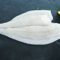 brill fillet