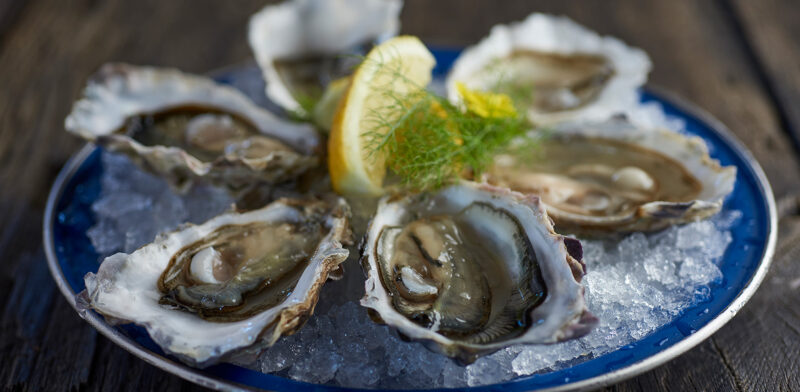 portland oysters