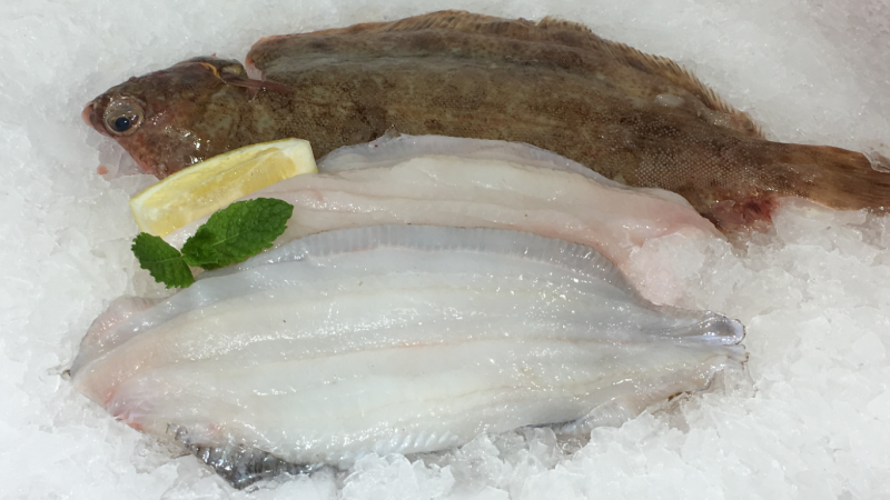 lemon sole
